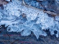 Hauchdünne Eisschicht dehnt sich über den Bach aus